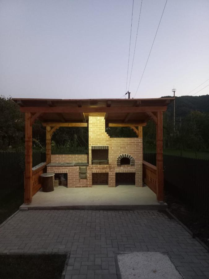 Casa Edy Βίλα Vişeu de Sus Εξωτερικό φωτογραφία