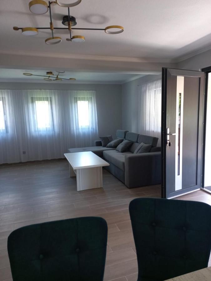 Casa Edy Βίλα Vişeu de Sus Εξωτερικό φωτογραφία